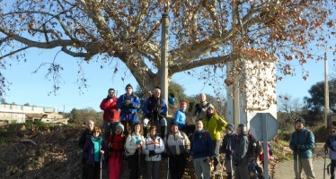 Camino de San Ramón: Aguinaliu a Capella