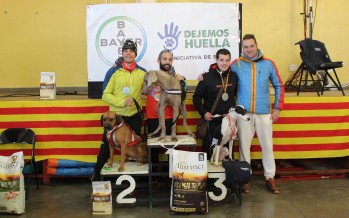 Campeones de Aragón de canicross