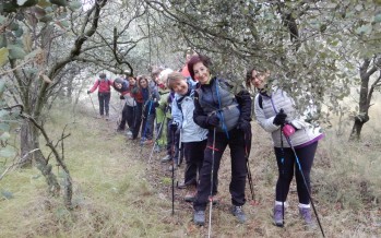 Vuelta a Barbastro con marcha nórdica: 1ªetapa: Monasterio del Pueyo-Polígono Valle del Cinca